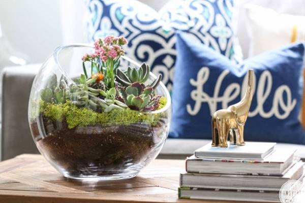 decor-rasteniya-svoimi-rukami