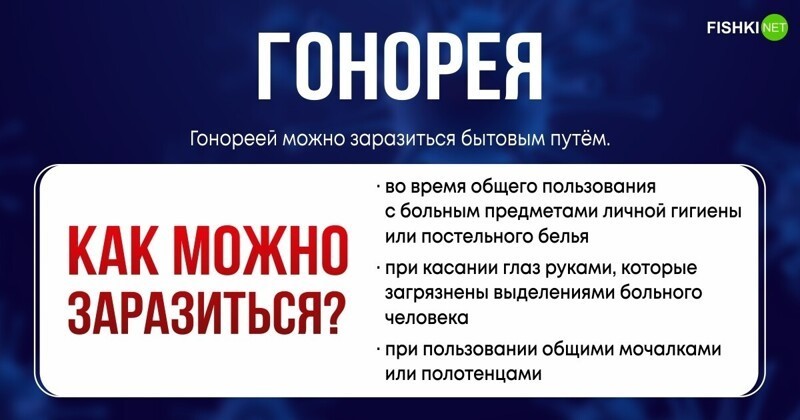 Что нужно помнить о бытовых методах передачи опасных заболеваний венерические заболевания,гигиена,здоровье,ЗПБП,ЗППП,инфекции,медицина