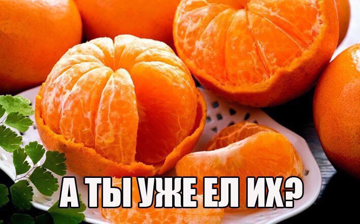   .    ...