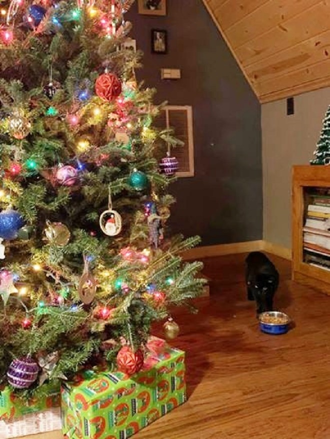 Рождественская елка