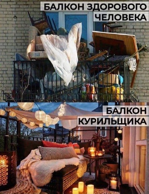 Лучшие веселые картинки 