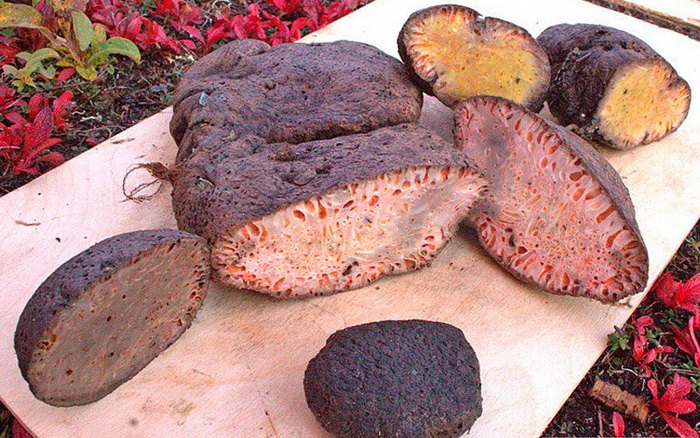 Копальхен - мясной деликатес народов Севера. Фото: ruposters.ru Копальхен - мясной деликатес народов Севера. Фото: ruposters.ru