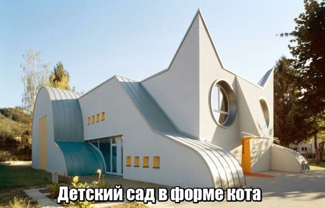 Подборка смешных картинок + Подборка смешных картинок + смешные картинки