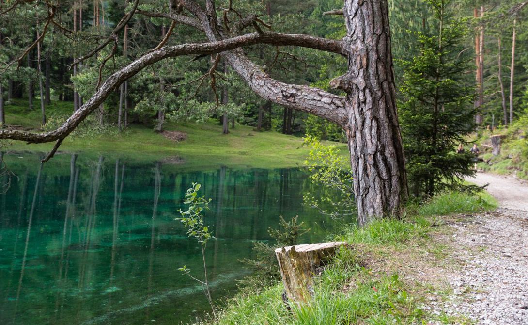 Озеро с лесом под водой