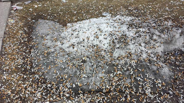 Весенние приколы. Классная ржака! смешные картинки