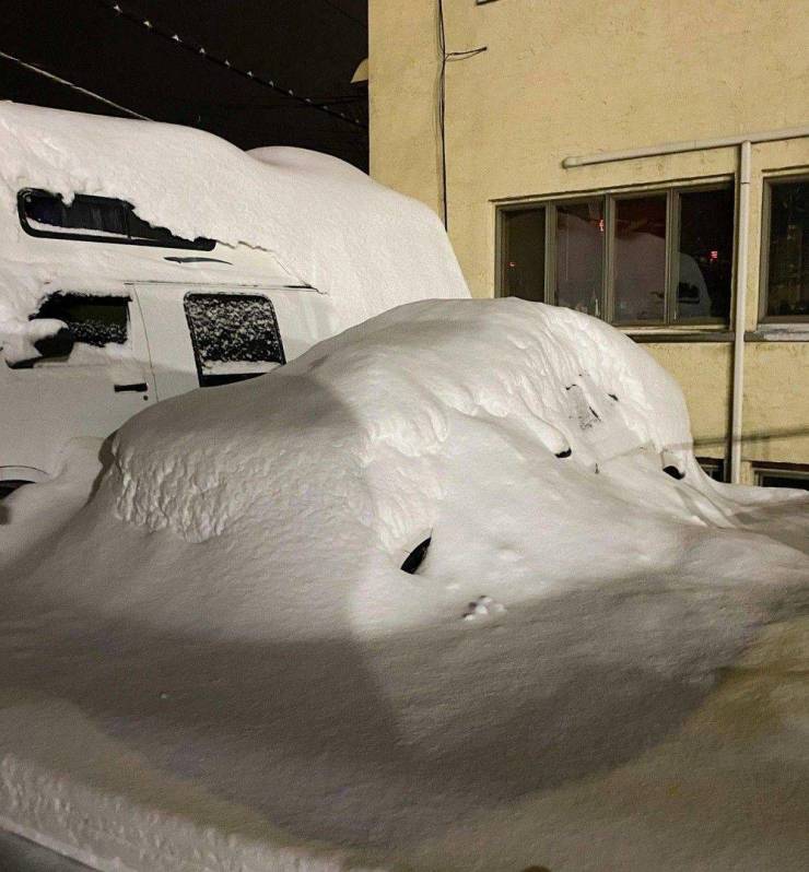 Подборка прикольных картинок  приколы,смешные картинки,юмор