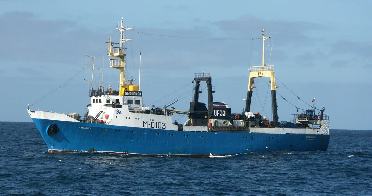 Рыба и глицерин с вином пролетают фанерой над Европой ﻿