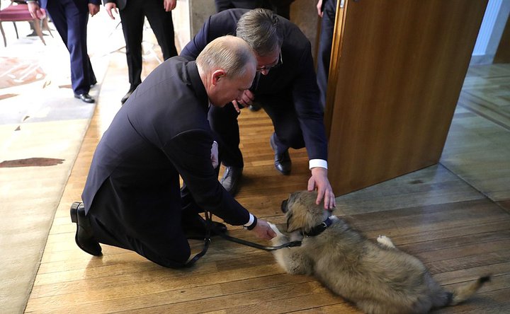 Фото: пресс-служба президента России Фото: пресс-служба президента России