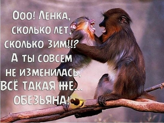 Утро понедельника в животном саду веселые картинки,животные,позитив,Смешные животные