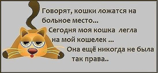 Утро понедельника в животном саду веселые картинки,животные,позитив,Смешные животные