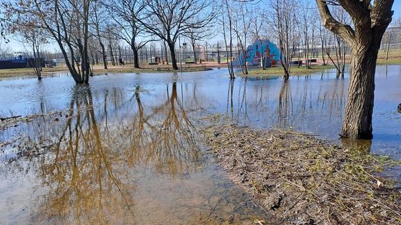 Уровень воды в Приозерском районе начал снижаться
