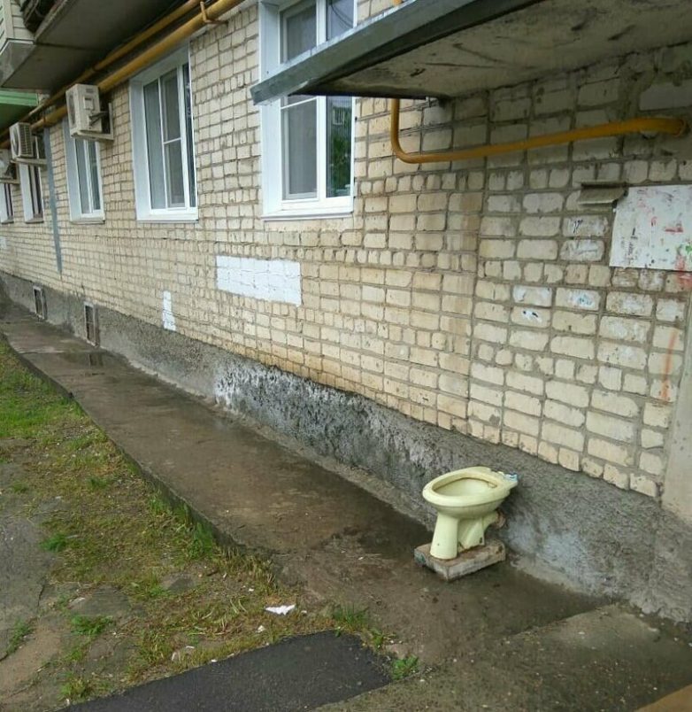 Они гении или идиоты? Они гении или идиоты?