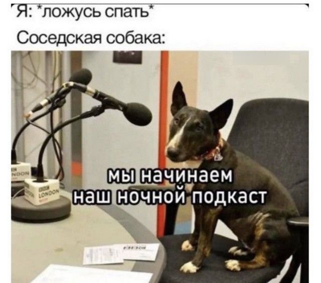 Шутки и мемы из Сети  