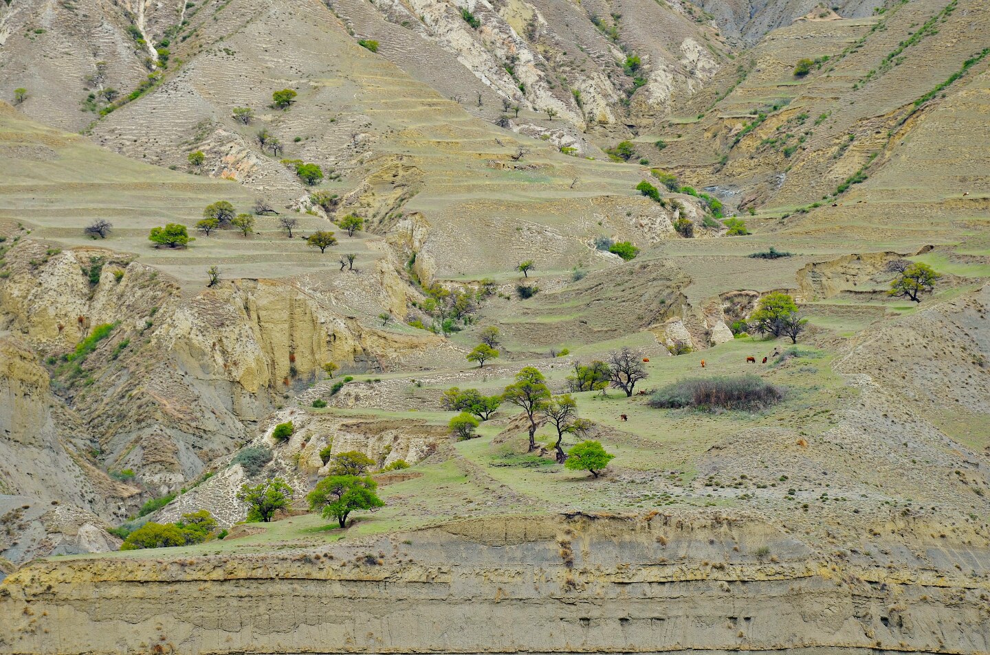 Самые Красивые Места В Дагестане Фото