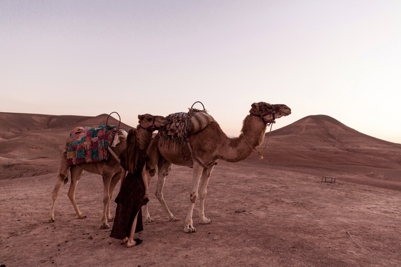 The-Fashion-Fraction-Marrakech-Travel-Guide-2017-Accomodation-La-Pause-Desert-Hotel-Desert-Safari-Trip-Camels-2
