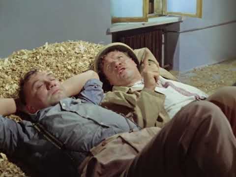 Инфантильные тунеядцы или «муравей и стрекозы»