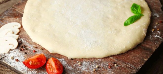 Как сделать тесто для пиццы с дрожжами, на воде, молоке и с медом? Как сделать тесто для пиццы с дрожжами, на воде, молоке и с медом? готовим дома,кулинария,рецепты