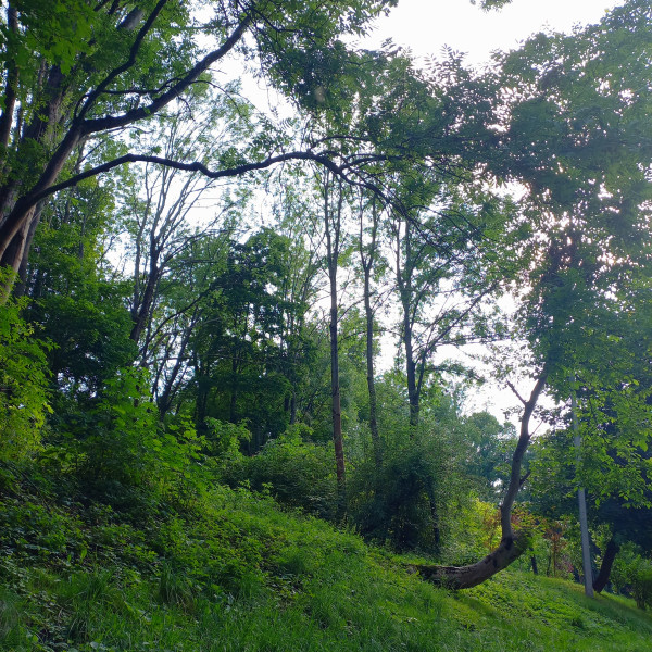 20250721_172357.jpg