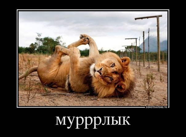 Подборка веселых и забавных демотиваторов из сети демотиваторы свежие,смешные демотиваторы,юмор