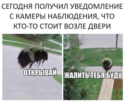 Ещё немного прикольных анекдотов