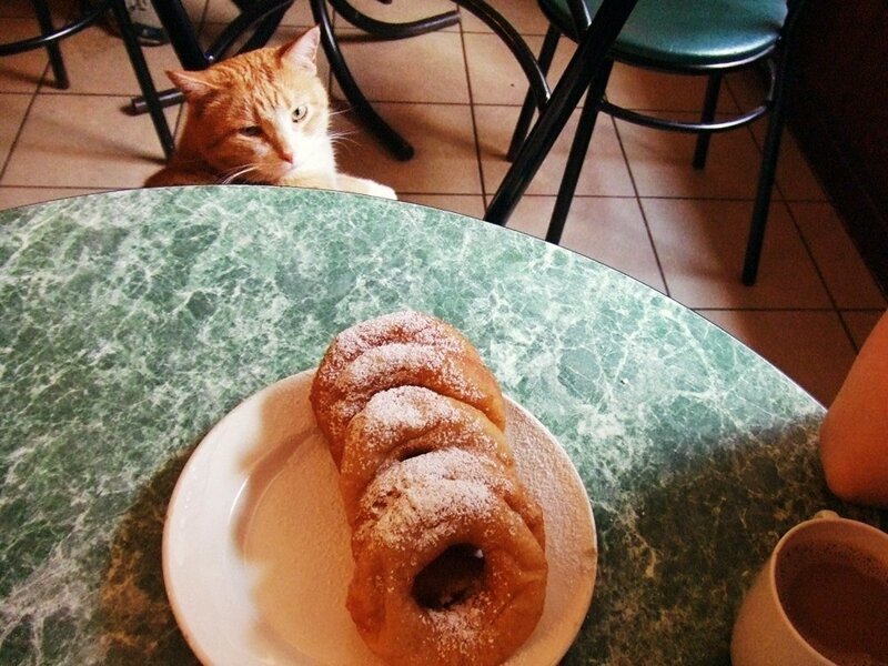 В Питере открывают кафе с дошираками В Питере открывают кафе с дошираками