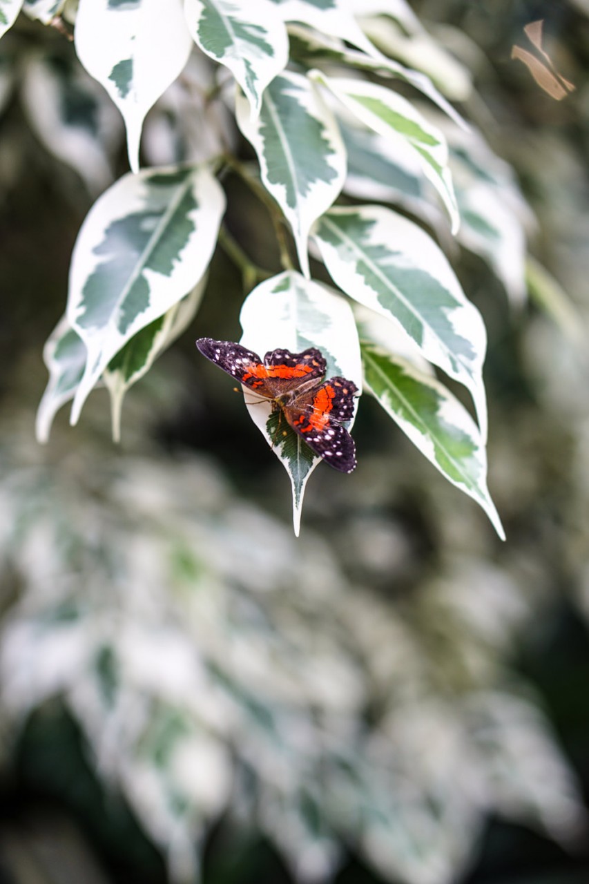 Seattle Washington Pacific Science Center-17.jpg