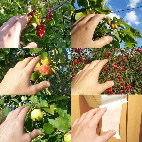 Отличные приколюшки