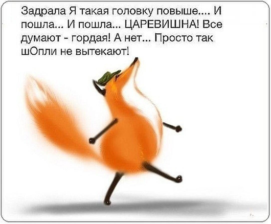 Утро понедельника в животном саду веселые картинки,животные,позитив,Смешные животные