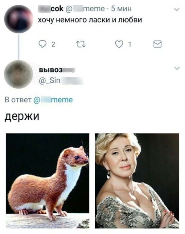 Юмор на разные темы 