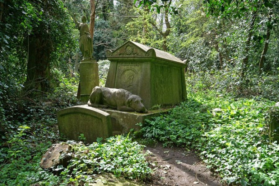 Хайгейтское кладбище в лондоне фото