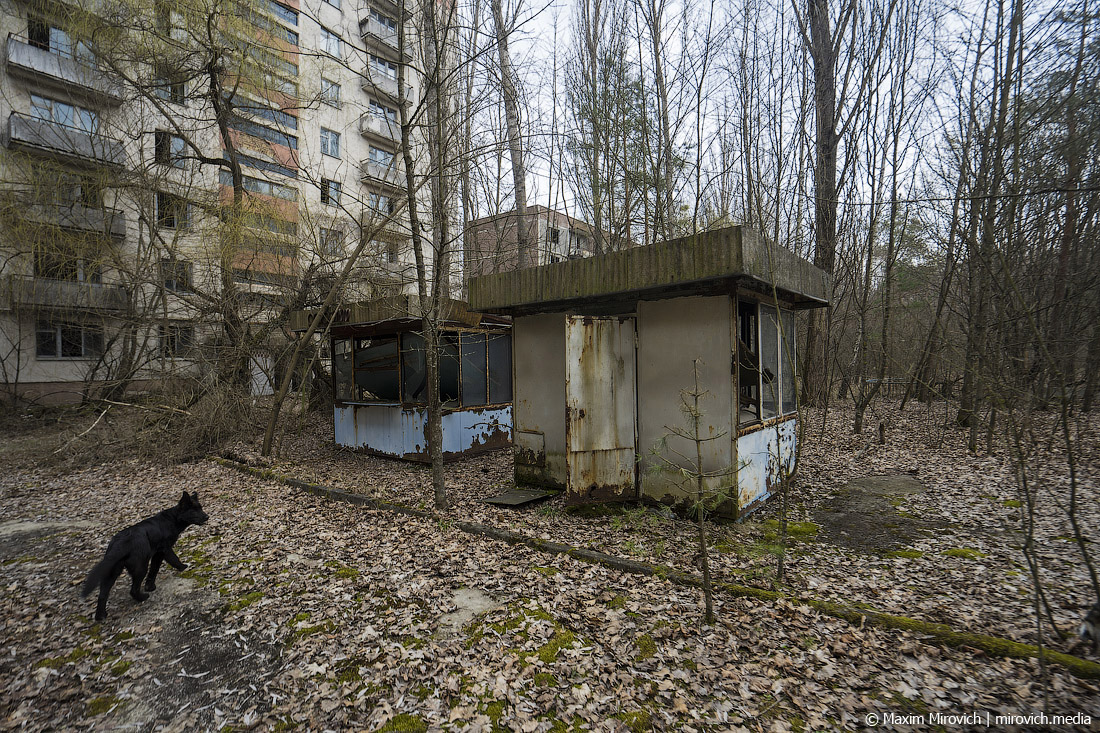 Чернобыль живут люди сейчас 2024. Припять ЧАЭС 2021. Город Припять сейчас 2021. Припять 2021 год город. Чернобыль Припять сейчас.
