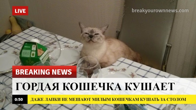 Доброжелательные новости, которые мы заслуживаем животные, интересное, новости, фотоприкол
