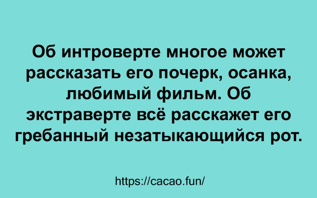 Шутки, анекдоты и истории в свежей подборке 