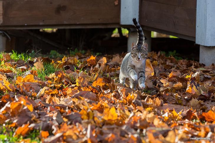 «Вложил сюда все свои сбережения». Как один человек возрождает деревню на Голубых озерах 
