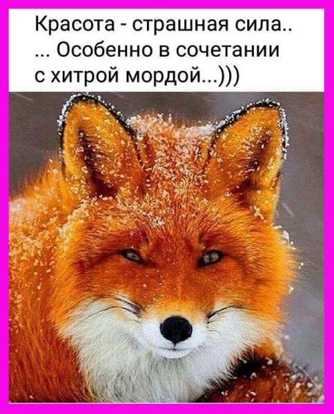 Разговаpивают тpи женщины. - Мyж кyпил мне цветной телевизоp. Хоpошо - сижy дома...