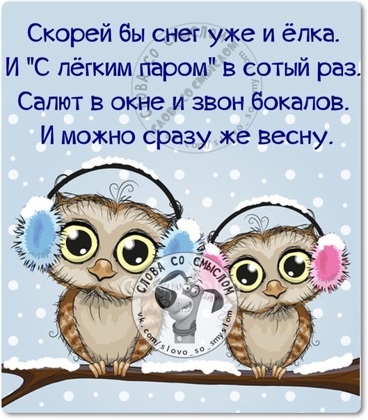 Пусть в 2017 году будет больше приятных неожиданностей! открытки, приколы, юмор