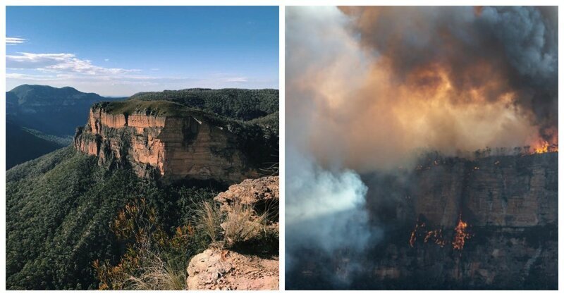 Последствия австралийских лесных пожаров в фотографиях