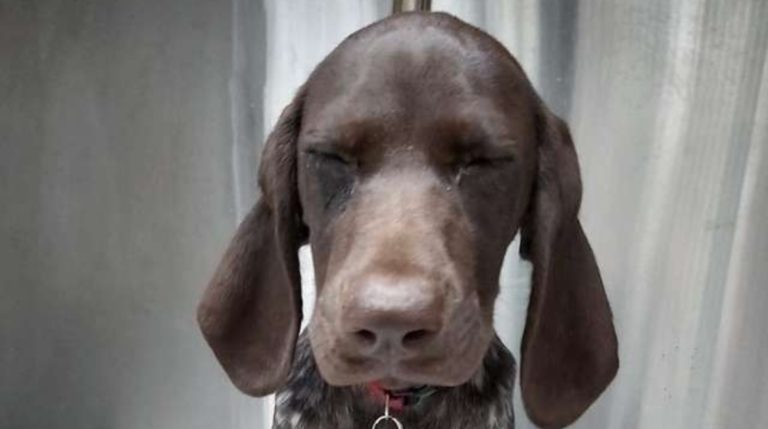 BeFunky-collage (17)