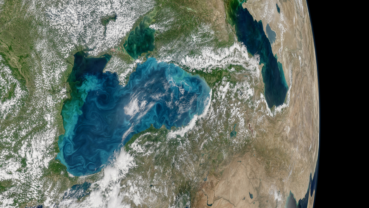 Экологи пояснили данные Гидрометцентра Крыма о загрязнении Черного моря