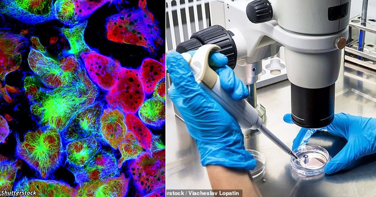 В Австралии разрабатывают новый тип вируса, который будет способен уничтожать все виды рака болезни,жизнь,здоровье,интересное,медицина,Медицина и здоровье,наука,Онкология