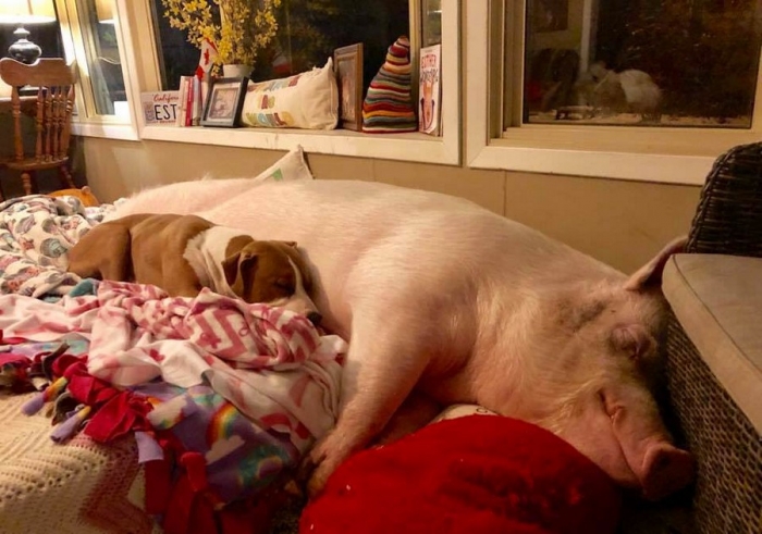 Фотоподборка 