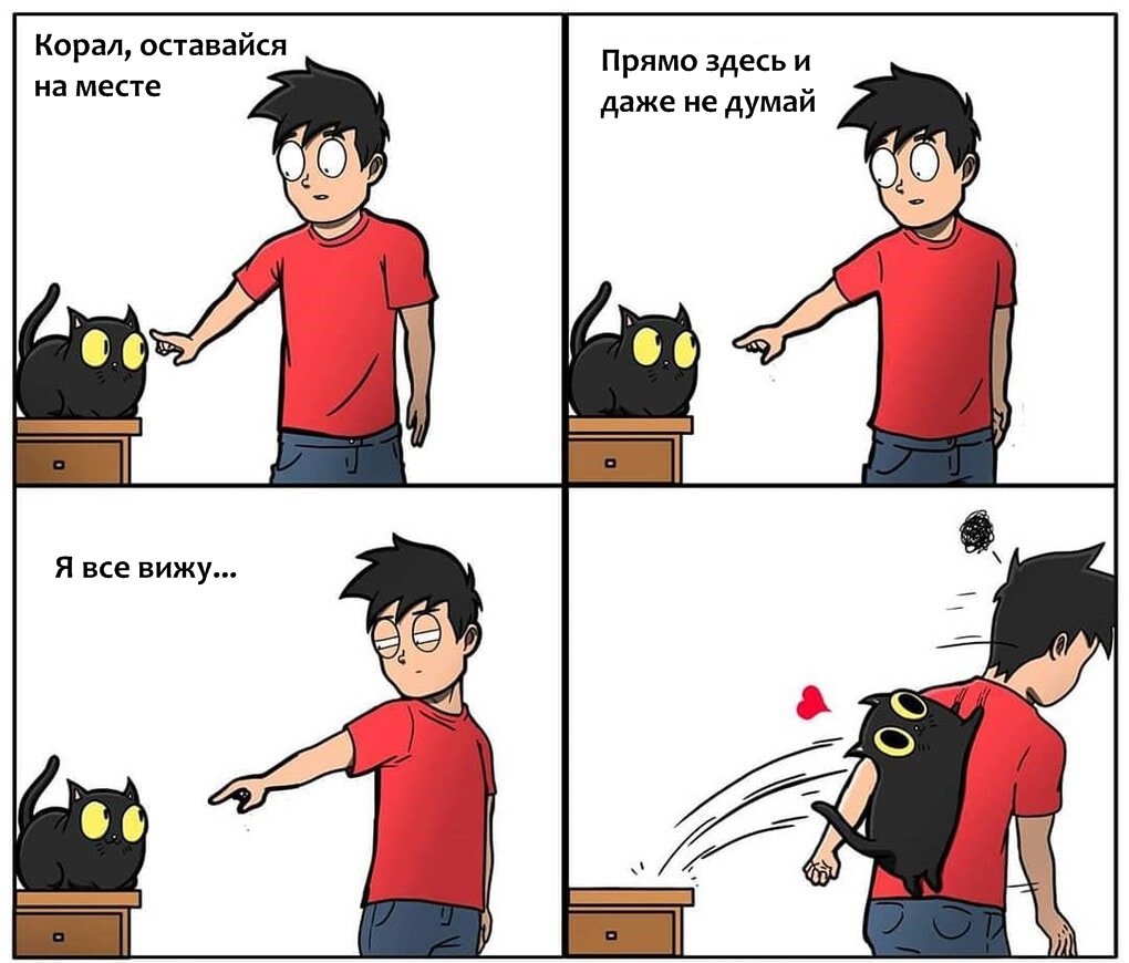 12 комиксов, доказывающих, что жизнь с котом – это настоящее испытание котики,юмор