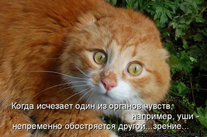Мысли вслух :)