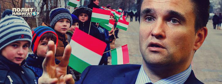 Климкин потребовал от Венгрии отменить акцию «Самоопределение для Закарпатья»
