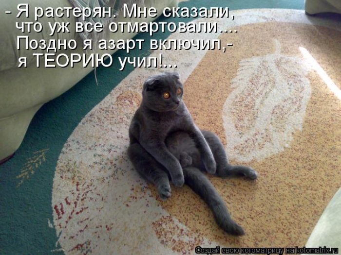 Лучшие котоматрицы за прошедшую неделю