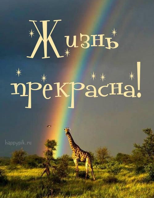 Веселые истории о нас Веселые истории о нас