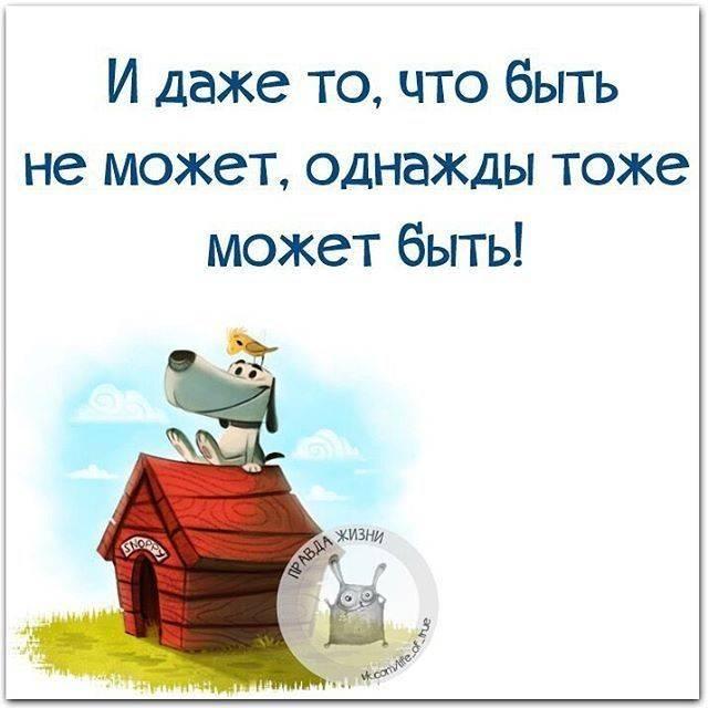 Что есть чего не может быть. И даже то что быть не может. И даже то что быть не может однажды тоже может быть. I daje to,chto bit ne mojet,odnajdi toje mojet bit. Смешные фразы про чудо.