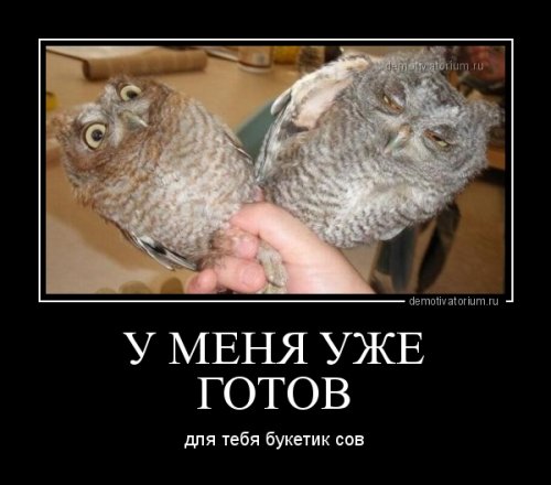 Новая порция демотиваторов (12 шт)