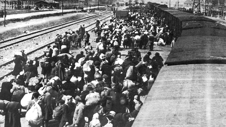 Ясеновацкая трагедия: Как нацисты и Ватикан уничтожали православных сербов геополитика,история