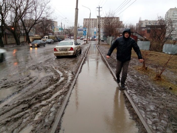 Классные, смешные и прикольные фотографии с забавными картинками из сети 